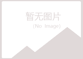 琼山晓夏咨询有限公司